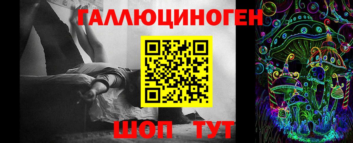 Псилоцибиновые грибы GOLDEN TEACHER Иваново